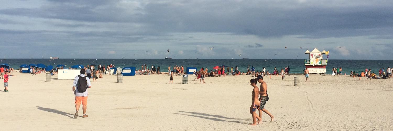 BIJON BRYDSON banner