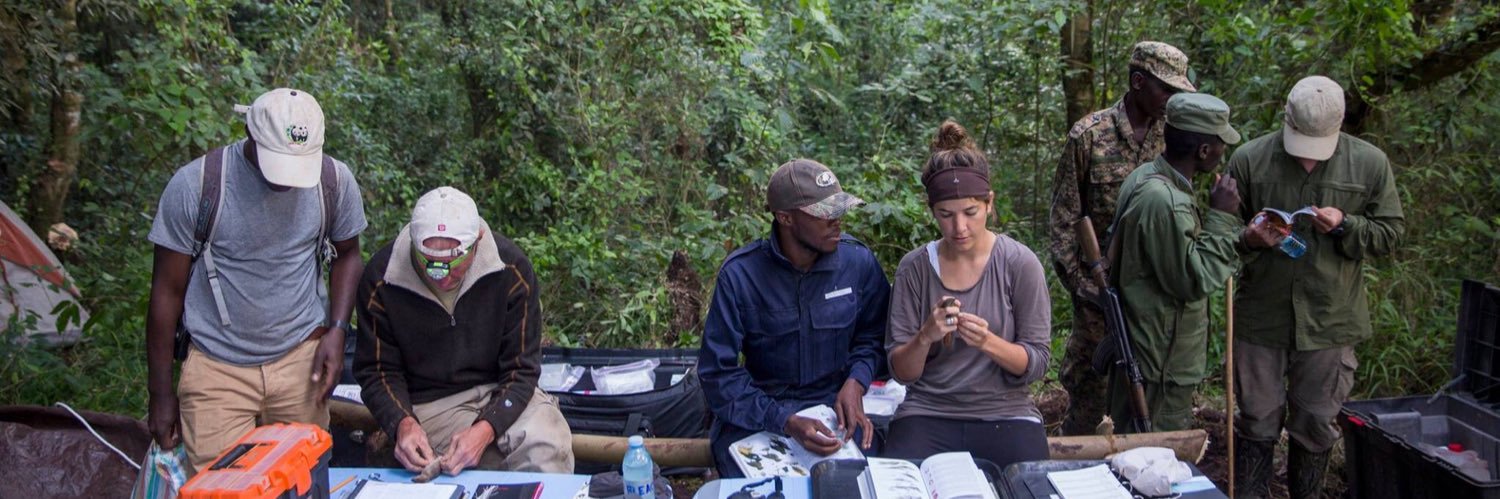 Holly L. Lutz banner