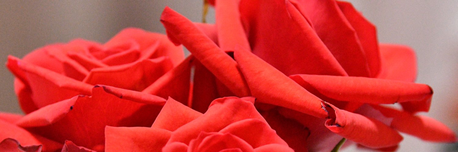 key_chan1224's profile banner image