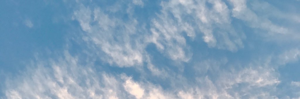 kaichi1221's profile banner image