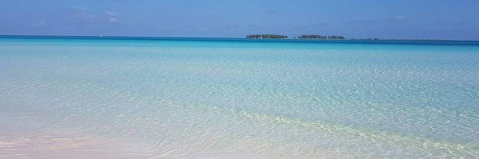 tarpon780's profile banner image