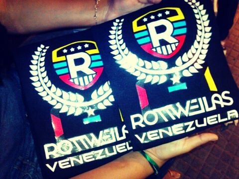 RottweilasVE's profile banner image