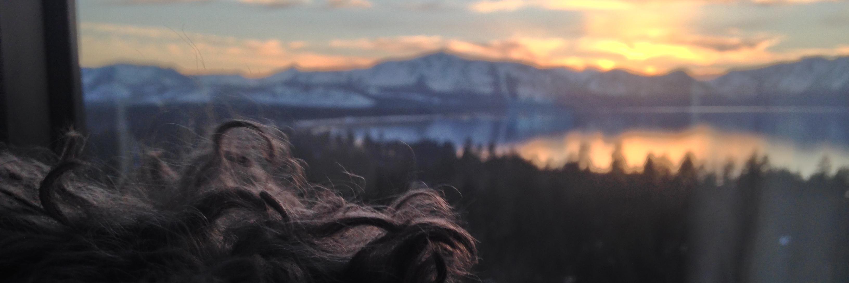 kevwarner's profile banner image