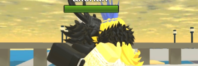 Lizard's banner