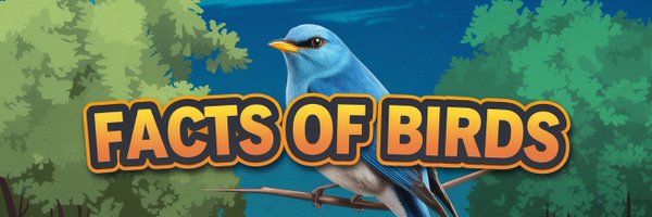 factsofbirds Profile Banner