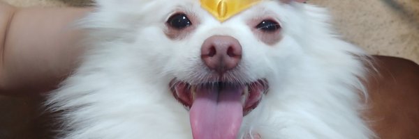 neoen Profile Banner