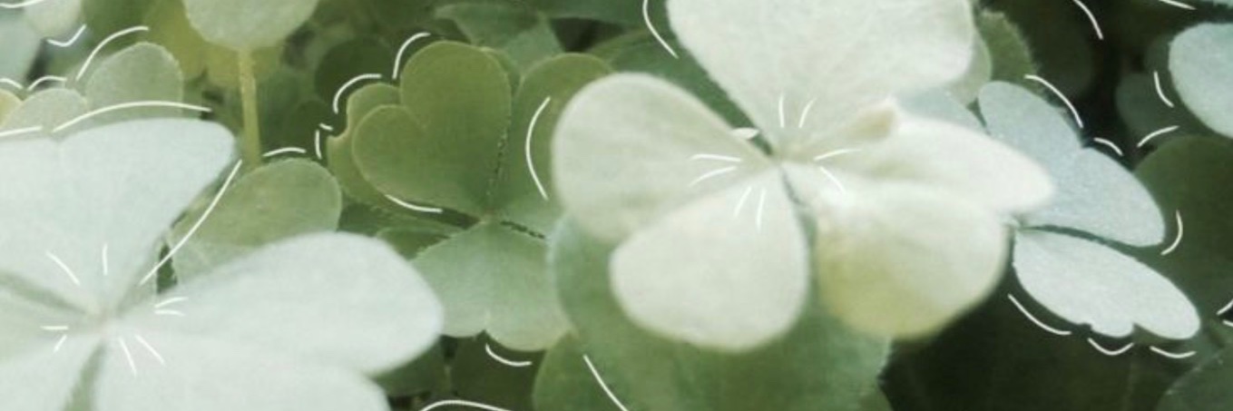 ★ ℳax★ |🌑| ☆Lloyds☆ Moon|🎋| banner
