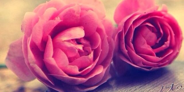 tiinavale's profile banner image