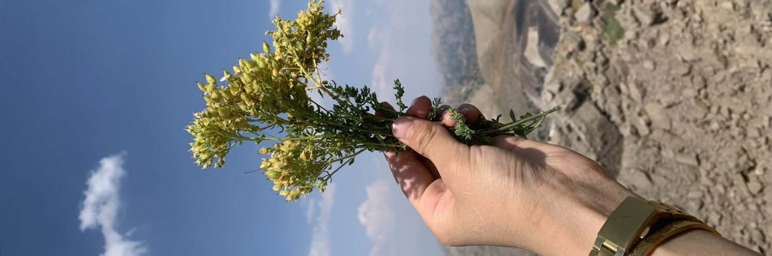 Cicekyavuz7's profile banner image