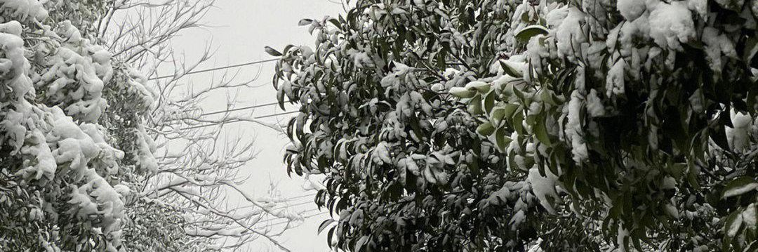 哦 banner