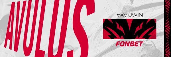 teamavulus Profile Banner