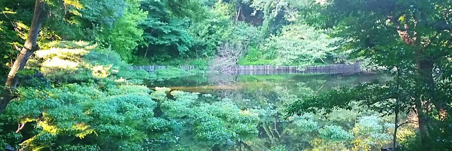 Dr William Hebblewhite banner