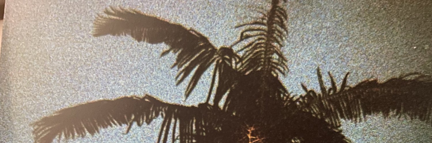 _looollaaa_'s profile banner image
