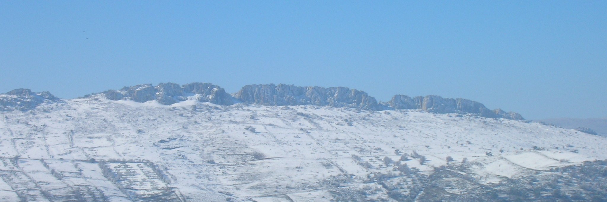 luiszafra's profile banner image