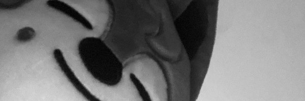awoomiis Profile Banner