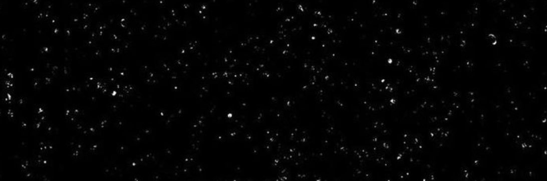 S banner