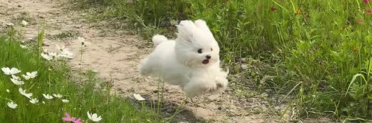 ซินซินซินแส ศาสตร์ดวงและฮวงจุ้ย banner