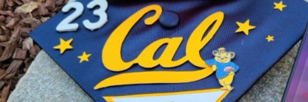 apgoldberg1 Profile Banner