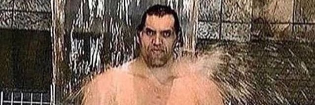 Terry Greenbeans banner