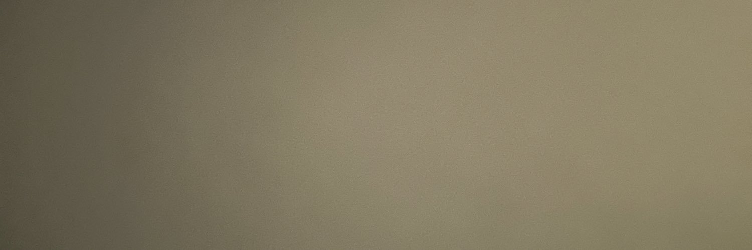 raemys's profile banner image