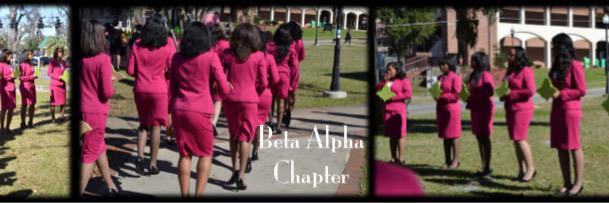 Beta Alpha banner