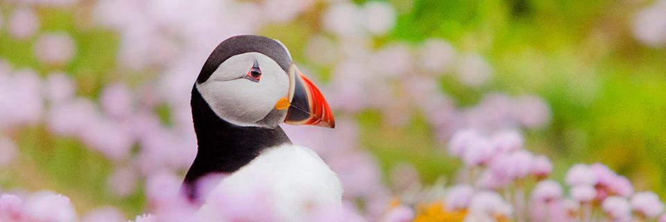 marialuskgreen's profile banner image