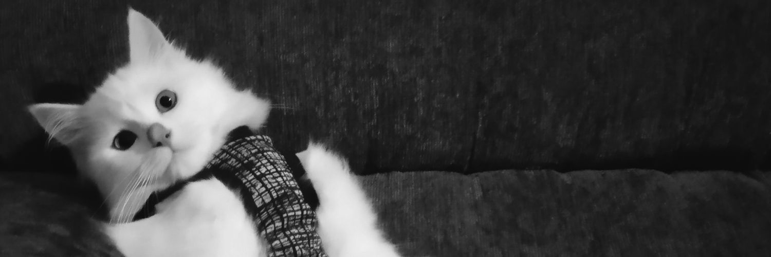 janicevip's profile banner image