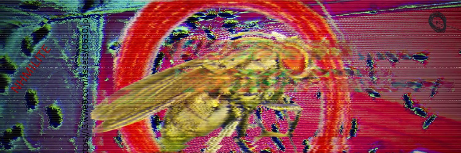 Punchkick Slamhead banner