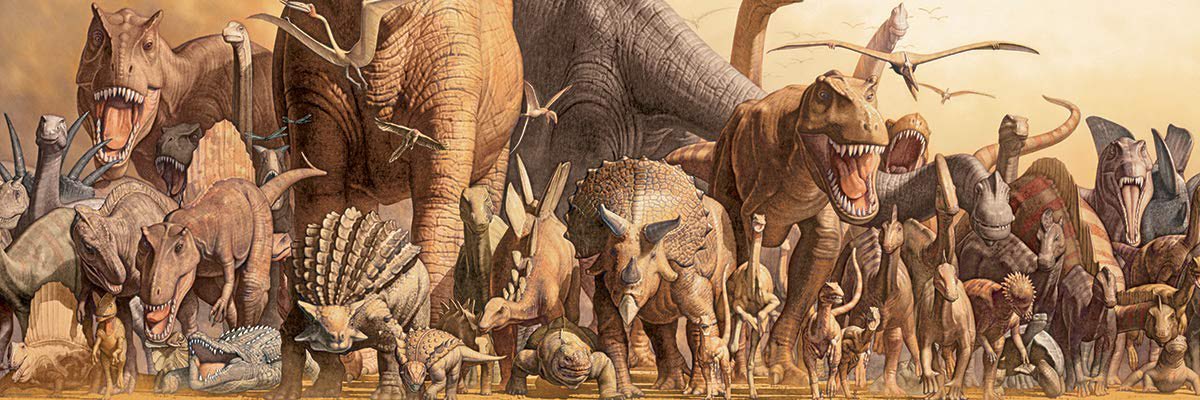 profbruno1822's profile banner image