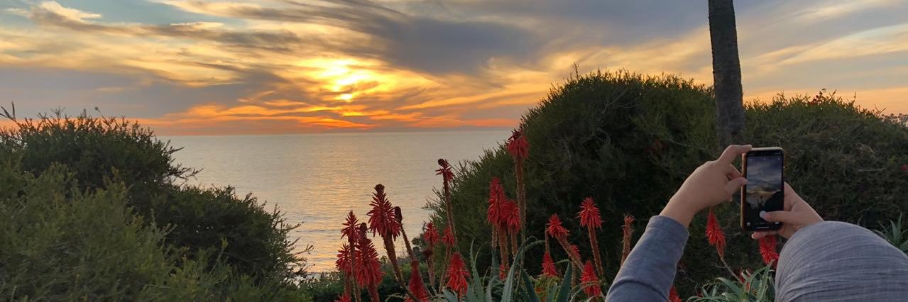 ام ليلى 💝 banner