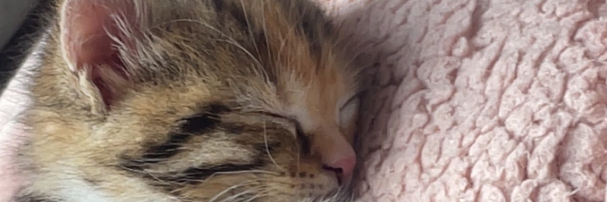 Souyaᥫᩣ🍒's banner