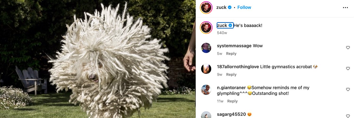 Beast - Mark Zuckerberg's Dog banner