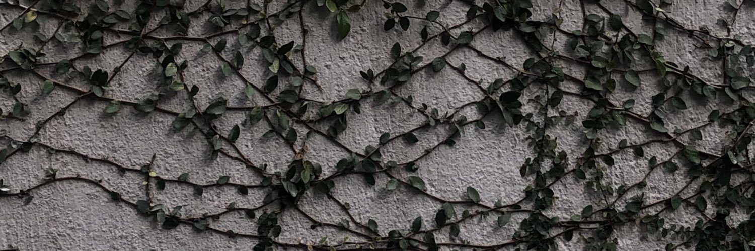 fertozcano's profile banner image