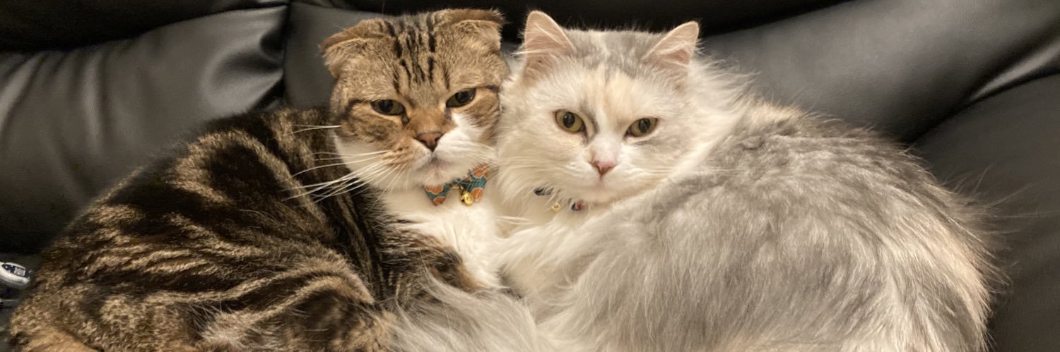 Kida_M's profile banner image
