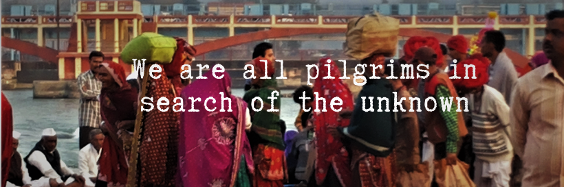Roshni banner