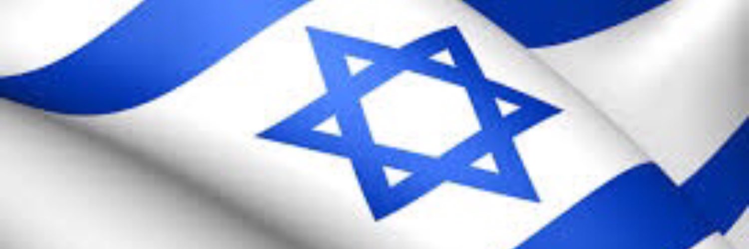 Dana Levi דנה🇮🇱🇺🇸's banner