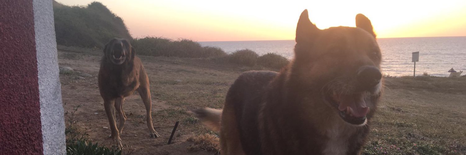 HaRZoG's profile banner image
