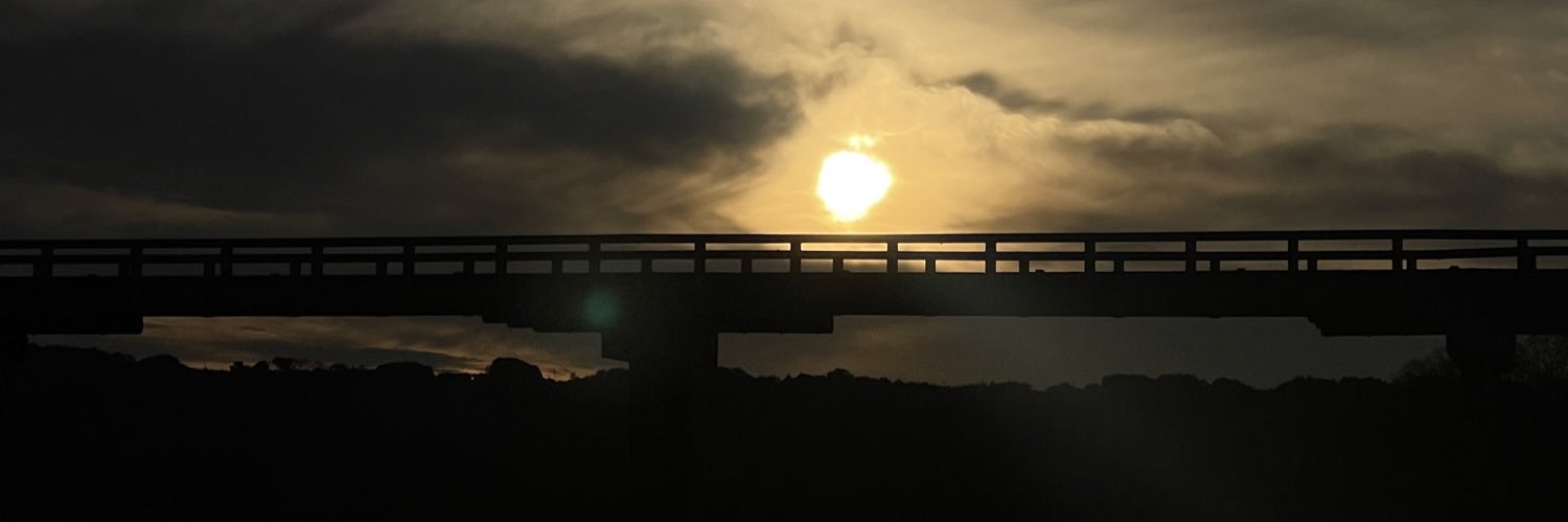 red_flanked's profile banner image