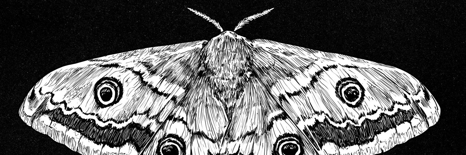_ghazart's profile banner image