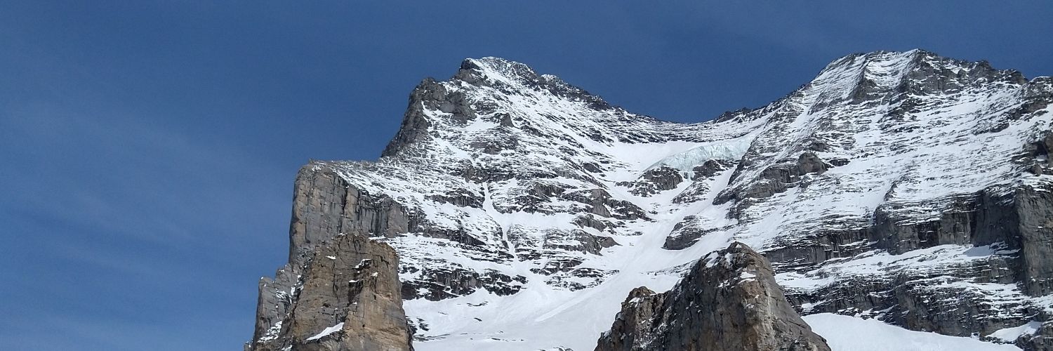 eiger_cello's profile banner image