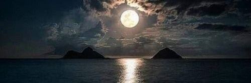 أبو العالية banner