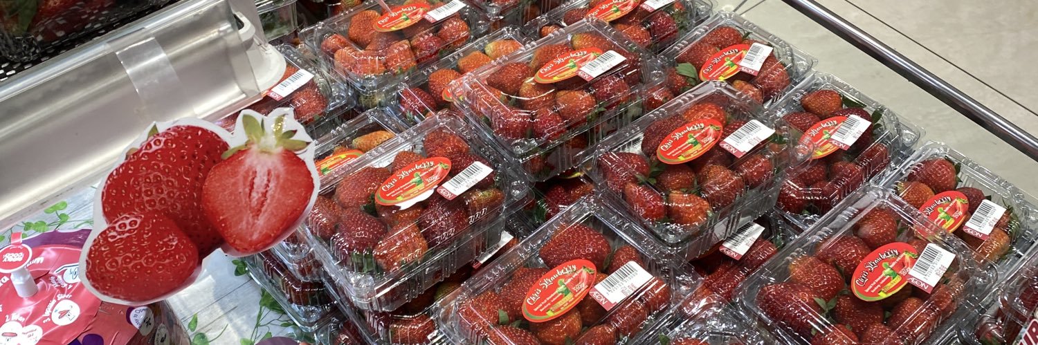 aleey 𐙚˙⋆. banner