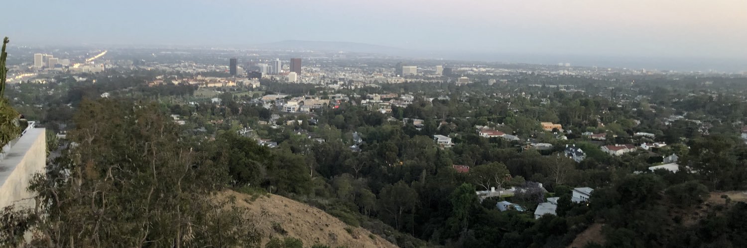 Chloe vaughn banner