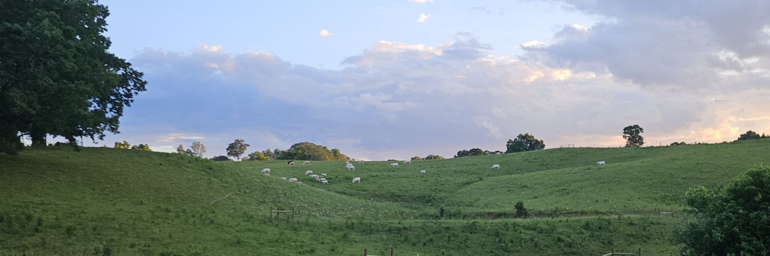 Toasted Kracker banner