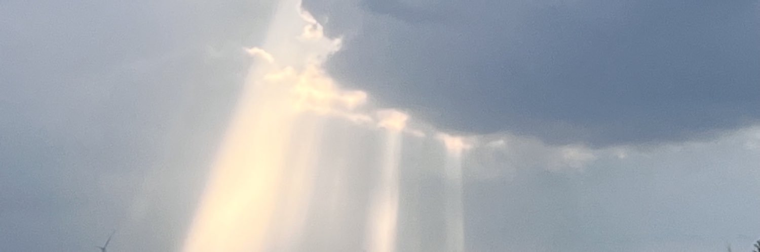 蒽蒽 banner