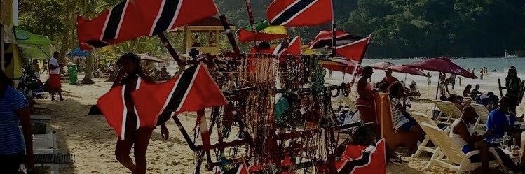 capricorn stellium's banner
