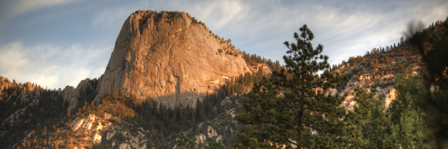 Western Region, OA banner