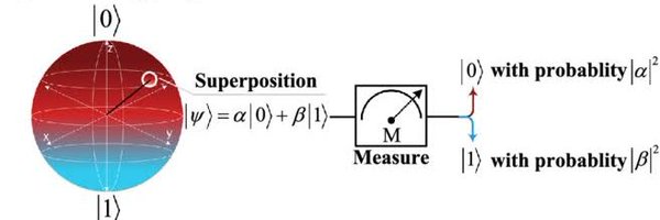 MooDeng_2024 Profile Banner