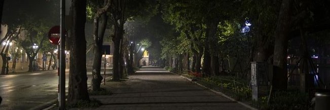 brannndii's banner