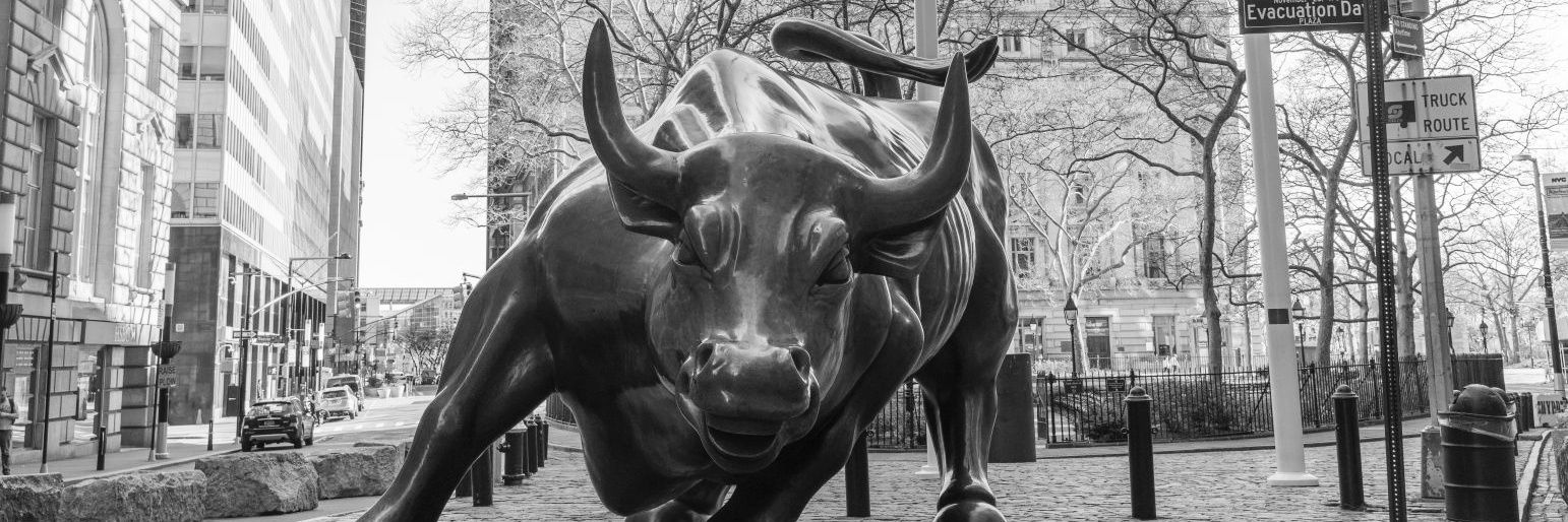 Daniel Pinheiro banner